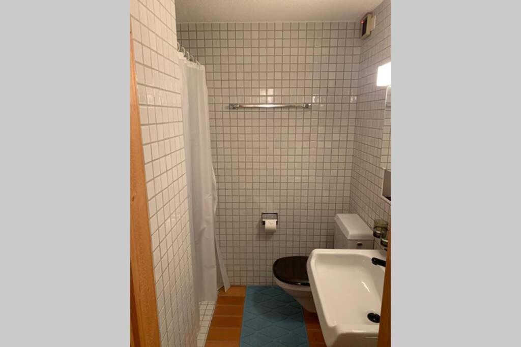 Studio Central 1 Церматт Экстерьер фото